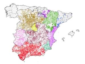 Asociaciones de toda España exigen la aprobación del Real Decreto que desarrolla la Red Nacional de Vías Pecuarias.