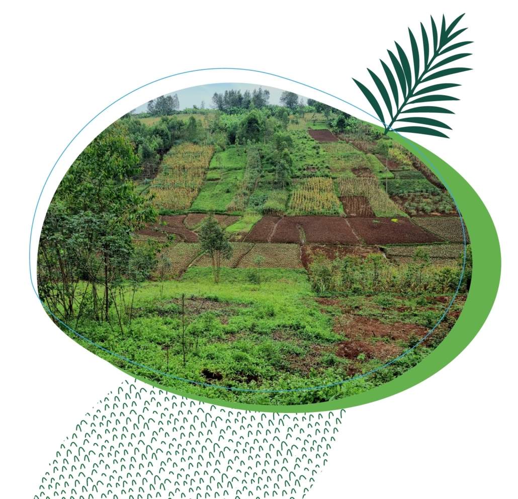 Lecturas de verano_8 : Guía operativa sobre agroecología
