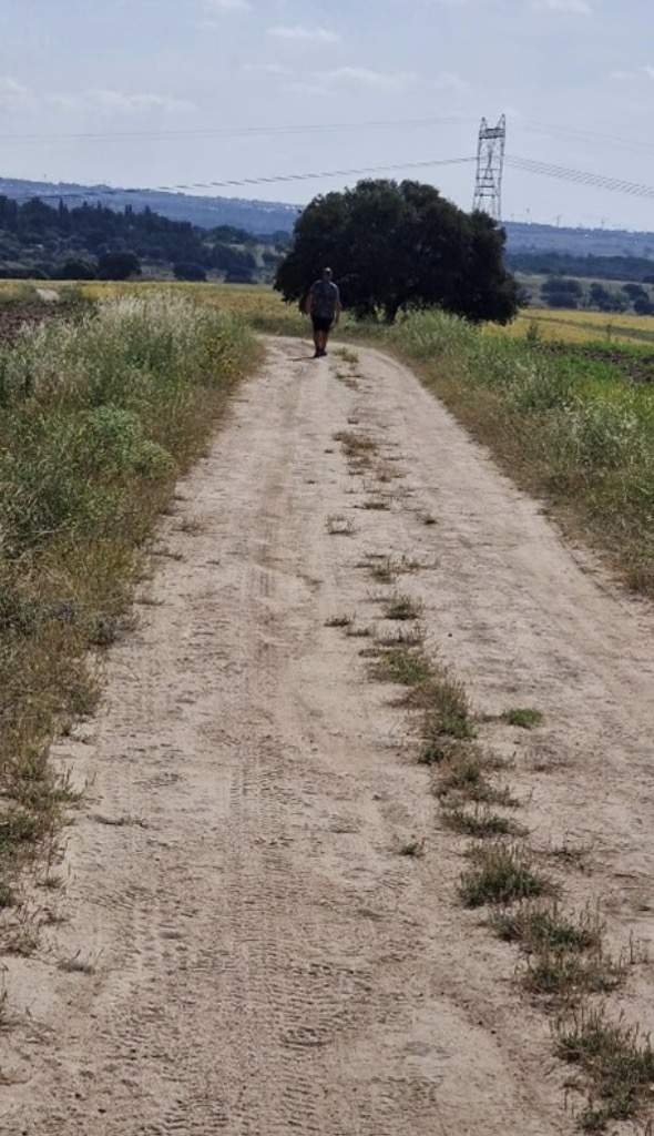 Lecturas de verano_10: Caminos públicos descuidados e infrautilizados