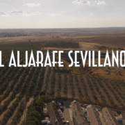 Lecturas de verano_16: El Aljarafe sevillano. ¿Una identidad en juego?