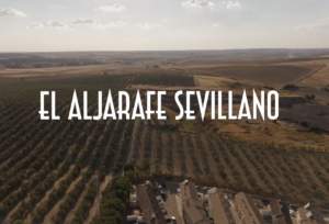 Lecturas de verano_16: El Aljarafe sevillano. ¿Una identidad en juego?