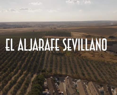 Lecturas de verano_16: El Aljarafe sevillano. ¿Una identidad en juego? Lecturas de verano_16: El Aljarafe sevillano. ¿Una identidad en juego?