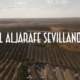 Lecturas de verano_16: El Aljarafe sevillano. ¿Una identidad en juego?