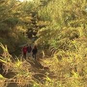 Lecturas de verano_19: RENATURALIZACIÓN DEL ARROYO “RÍO PUDIO”: EL PROGRAMA «ESPACIO PROTEGIDO» DE CANAL SUR