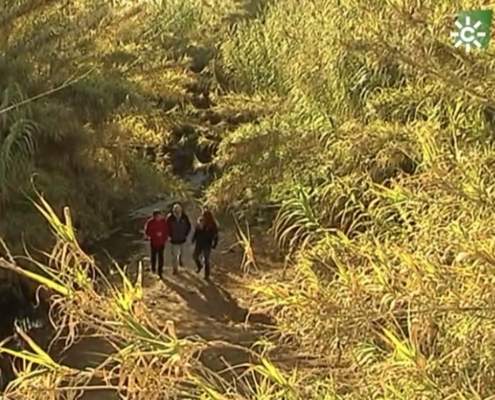 Lecturas de verano_19: RENATURALIZACIÓN DEL ARROYO “RÍO PUDIO”: EL PROGRAMA «ESPACIO PROTEGIDO» DE CANAL SUR Lecturas de verano_19: RENATURALIZACIÓN DEL ARROYO “RÍO PUDIO”: EL PROGRAMA «ESPACIO PROTEGIDO» DE CANAL SUR