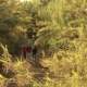 Lecturas de verano_19: RENATURALIZACIÓN DEL ARROYO “RÍO PUDIO”: EL PROGRAMA «ESPACIO PROTEGIDO» DE CANAL SUR