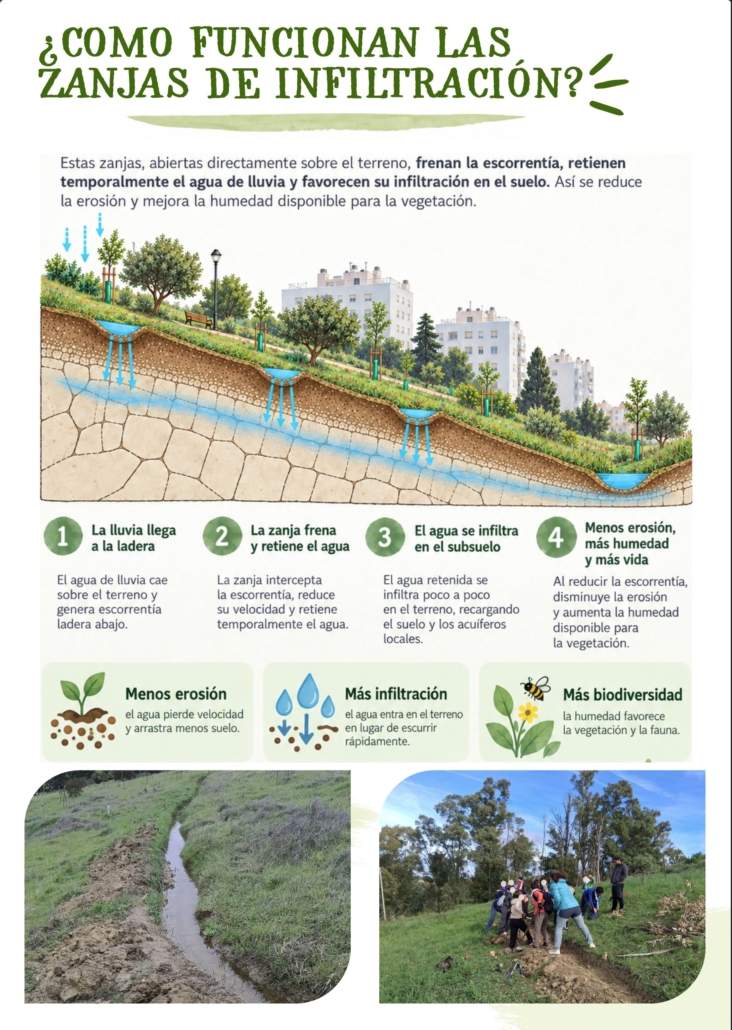 Laderas de Atalaya en el Parque de Santa Brigida, en Camas; premio spongebooster 2026.