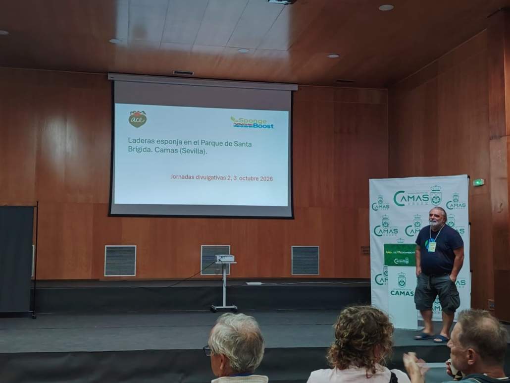 Laderas de Atalaya en el Parque de Santa Brigida, en Camas; premio spongebooster 2026.