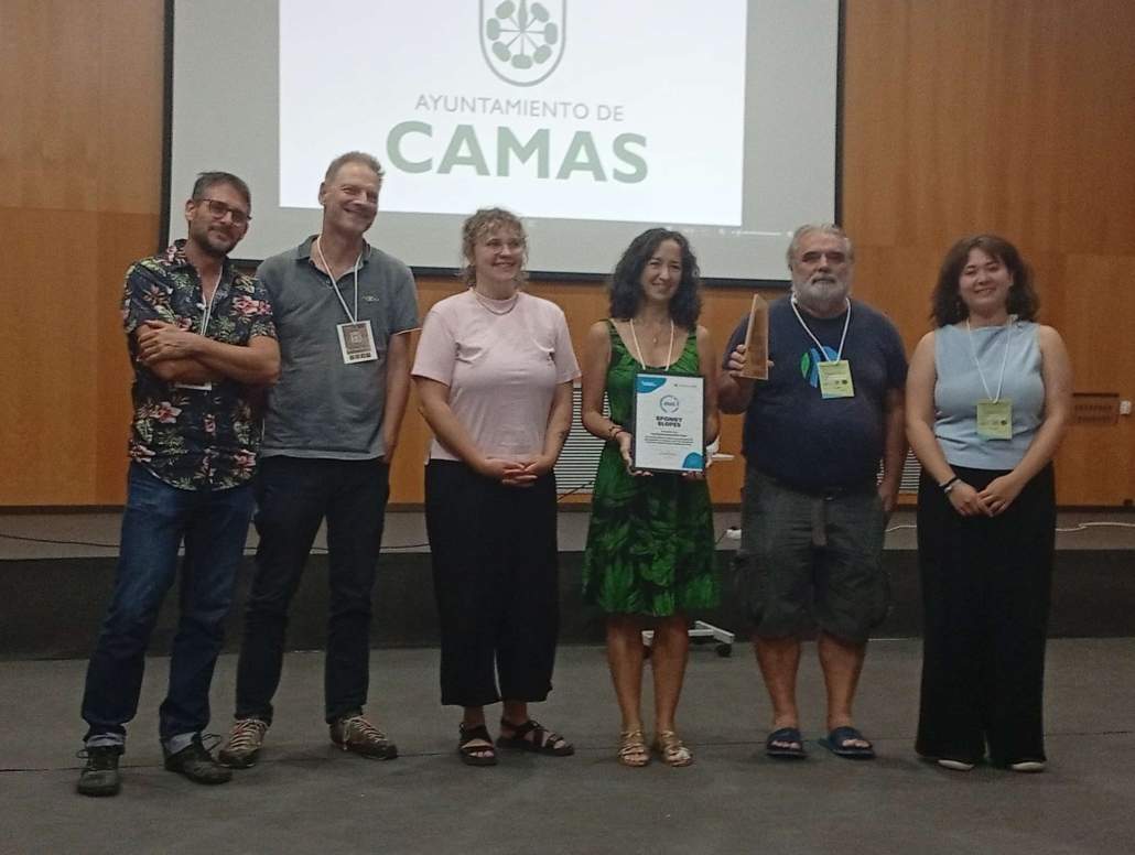 Laderas de Atalaya en el Parque de Santa Brigida, en Camas; premio spongebooster 2026.